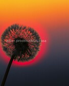 Анкета проститутки Надя - метро Басманный, возраст - 34